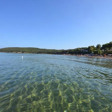 Toscana Di Charme Con 2 Camere, 2 Bagni, Terrazza, Aria Condizionata, In Posizione Centralissima Apartament Cecina (Livorno)