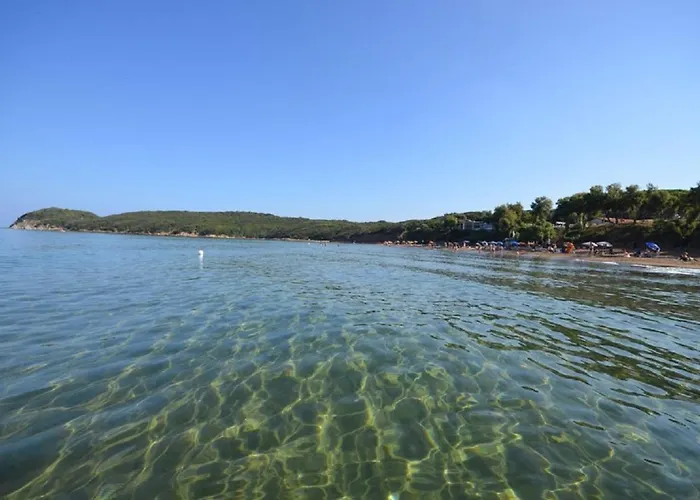 Centralissimo Di Charme Con 2 Camere, 2 Bagni, Terrazza, Aria Condizionata Apartamento Cecina (Livorno)